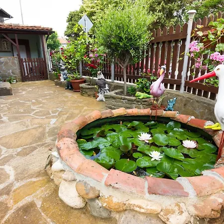 Sunny Dream 招待所 3*